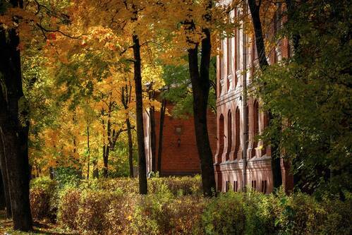 Нарвская осень.