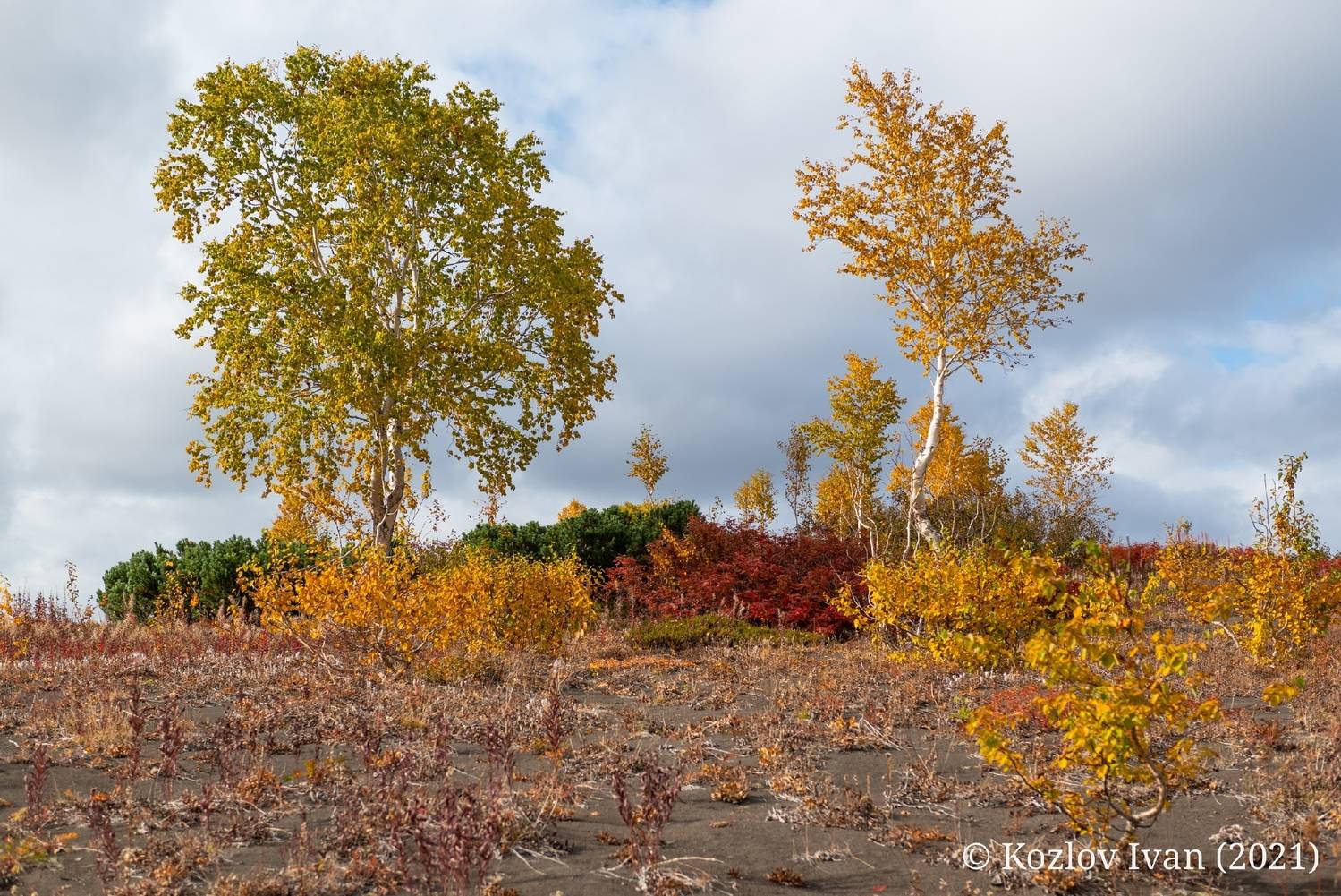 , Козлов Иван