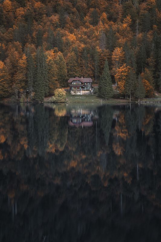 The Mirror of Time фото превью