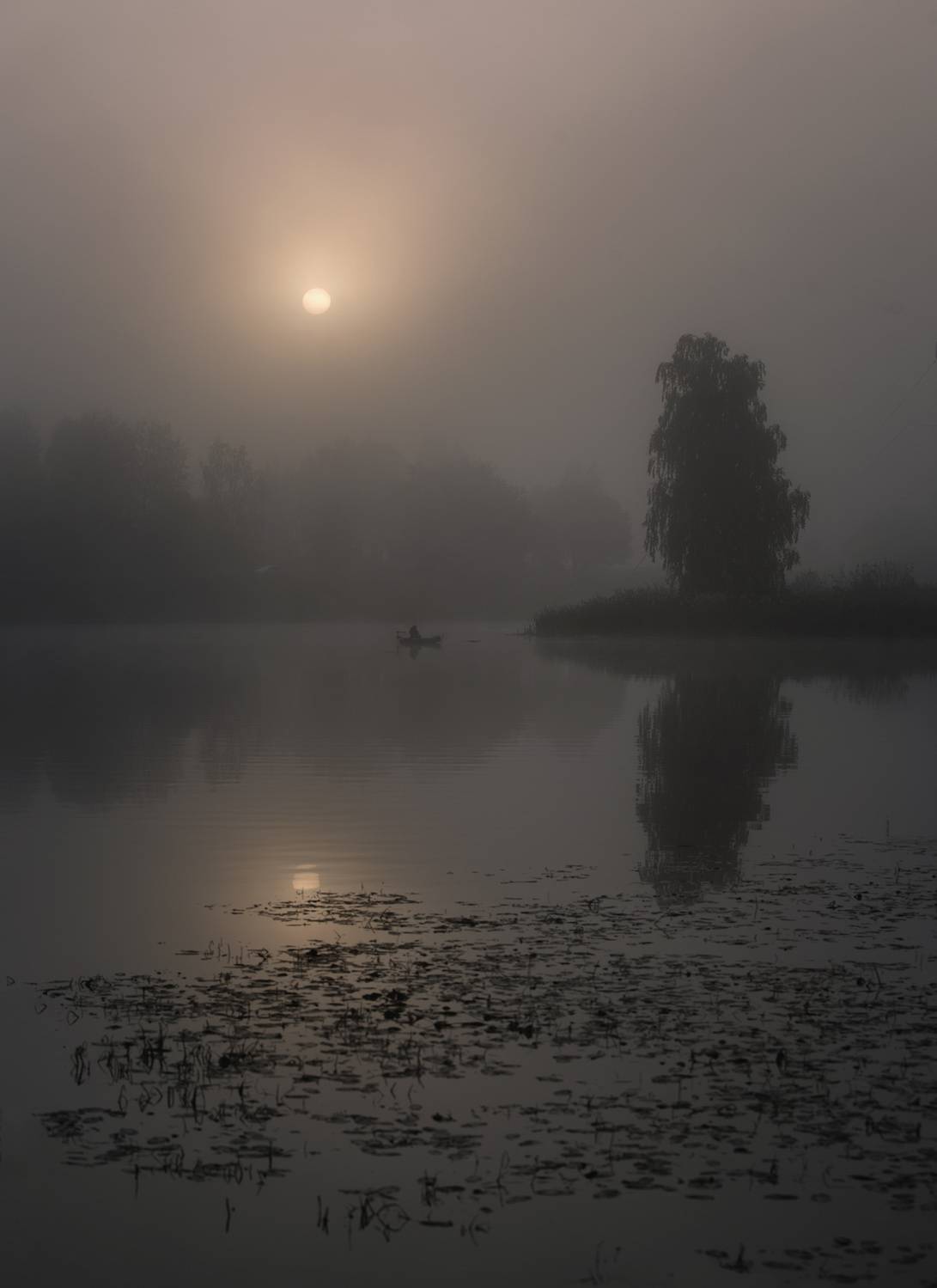лес, свет, утро, природа, Баранов Олег
