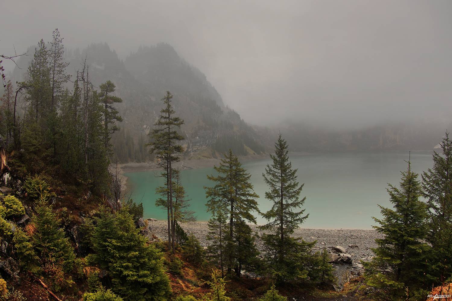 swiss, Матвеев Николай