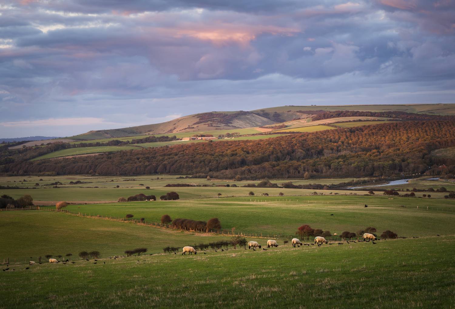 , Алекс Римский