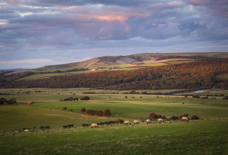 Вечерний пейзаж фото превью