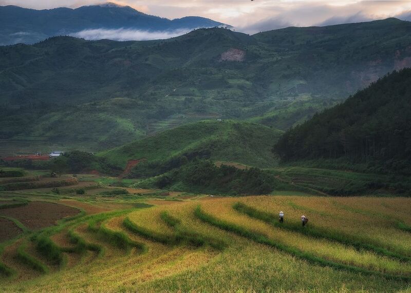 Rise terraces. Vietnam фото превью