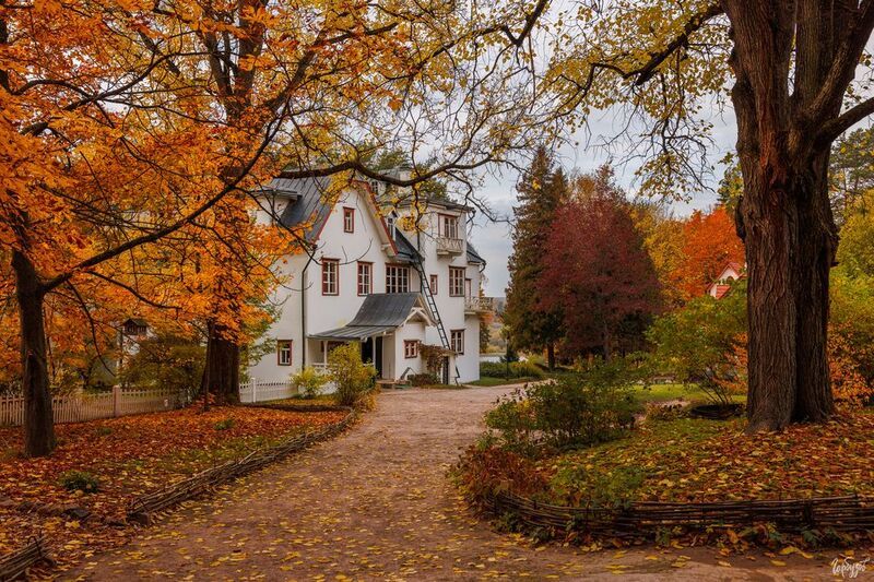 Осень в Поленово фото превью