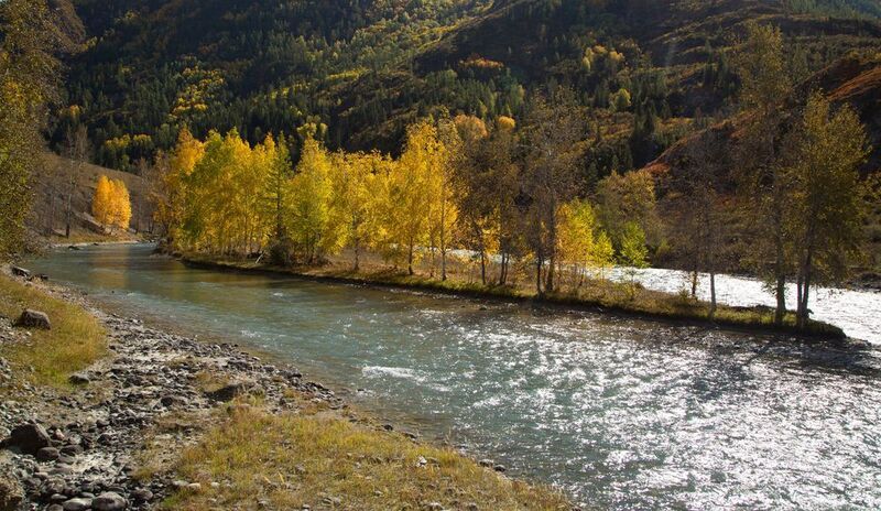 р. Чуя в Сентябре фото превью