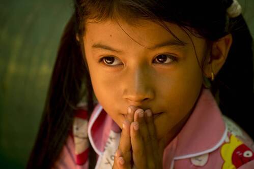 Та Прум  (Храм, отданный джунглям),  Камбоджа