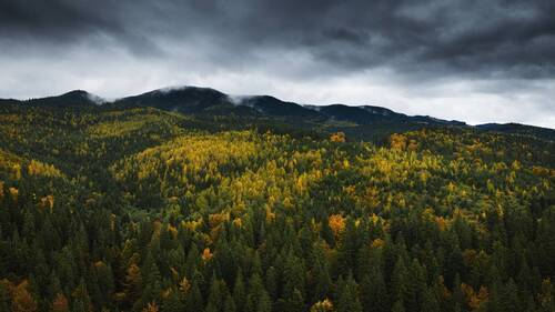 Карпатская осень