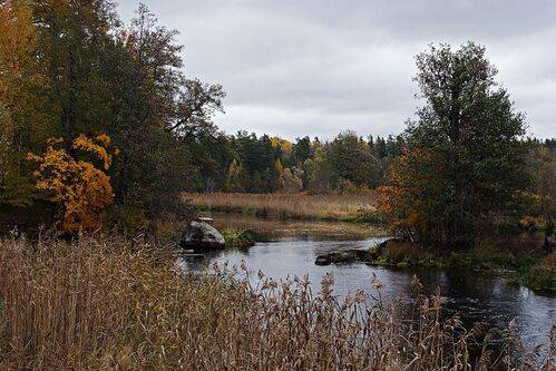 Осень 2025 (унылая)
