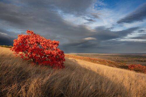 Краски осени