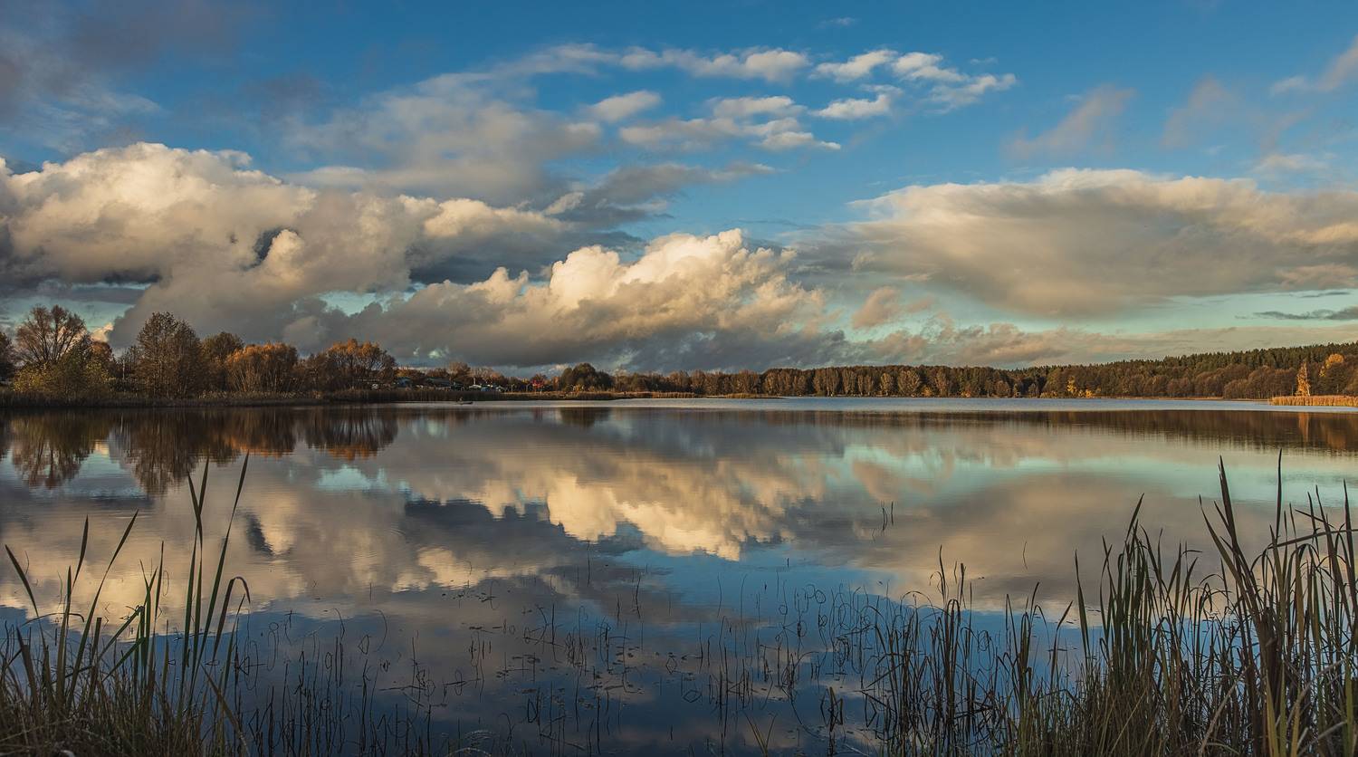 на устимском пруду, Владимир Васильев