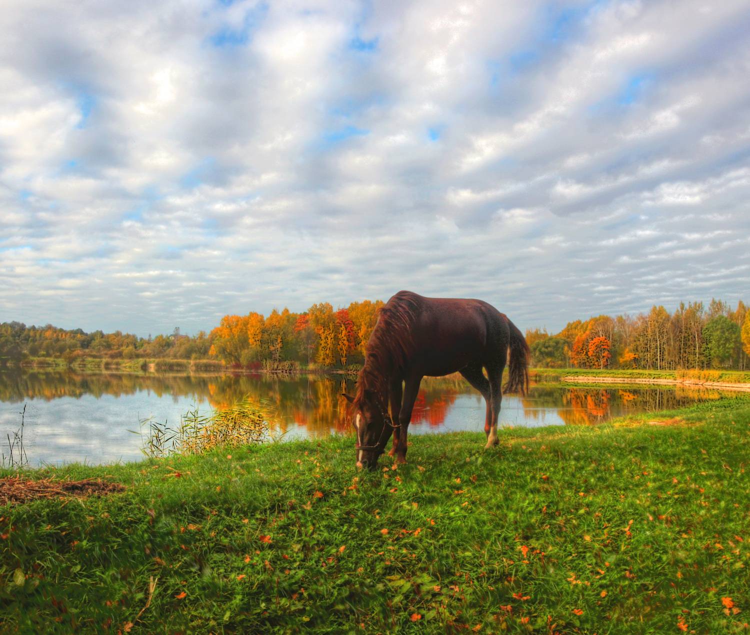 , Сергей Григорьев