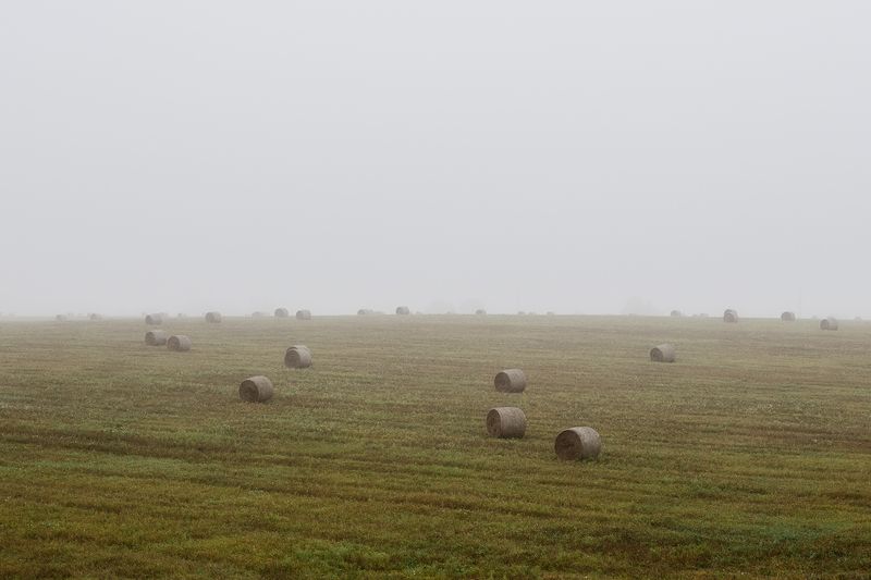 природа, пейзаж, поле, сено, осенняя пора, Московская область, туман Осень фото превью