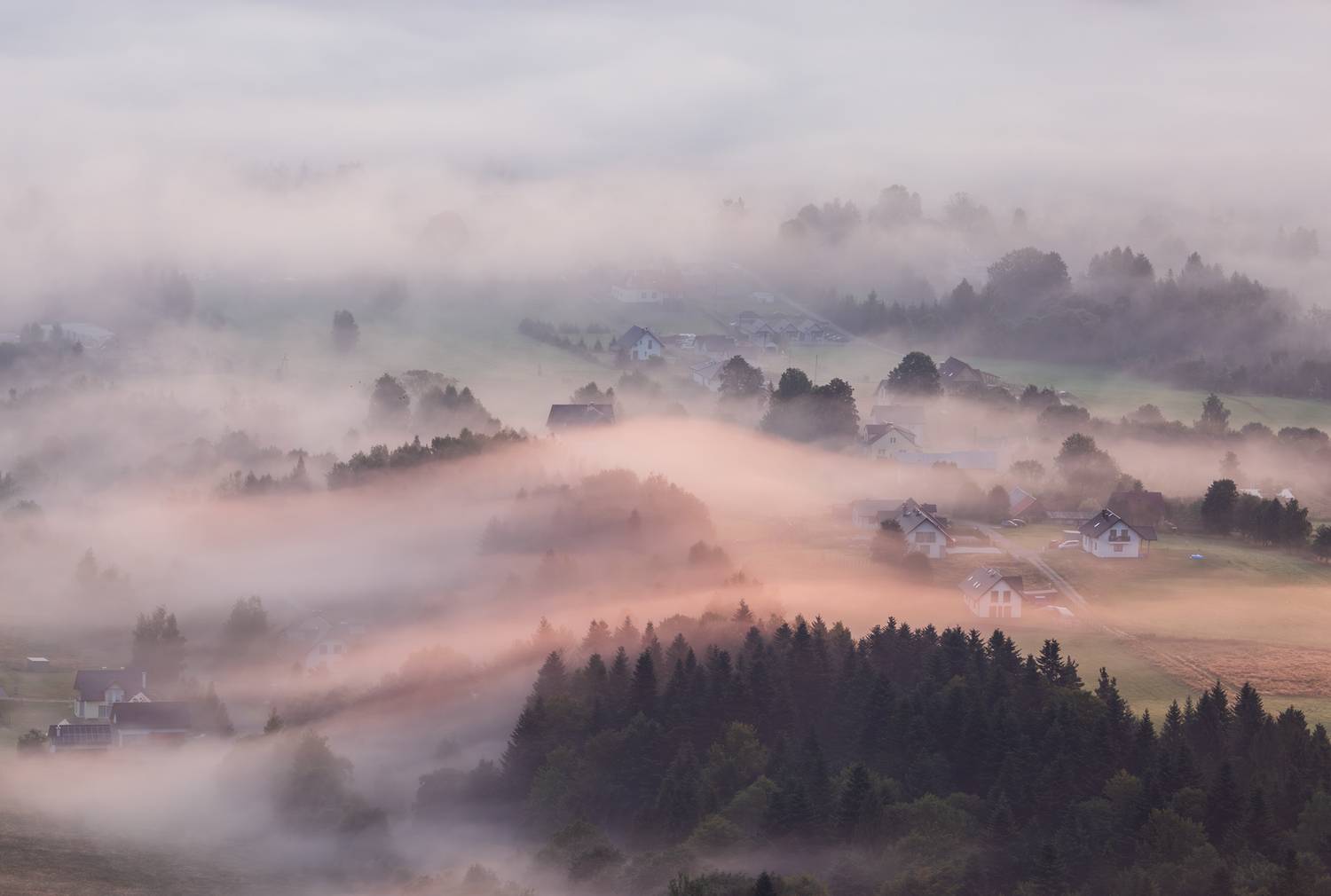 ,  Mirosław Pruchnicki