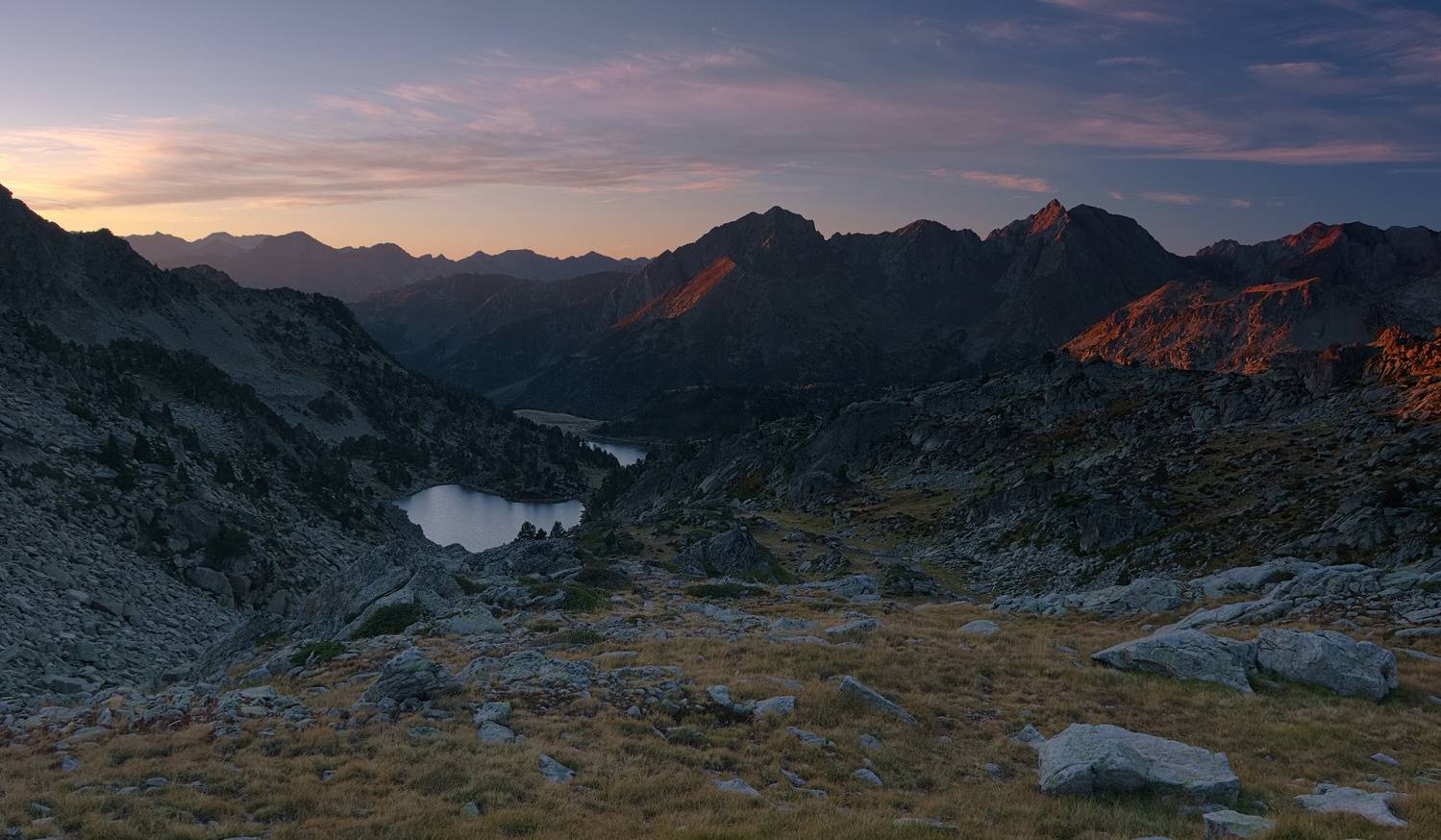 , Wojciech Tarnowski