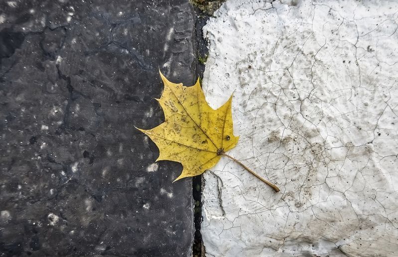 Осенняя фото превью