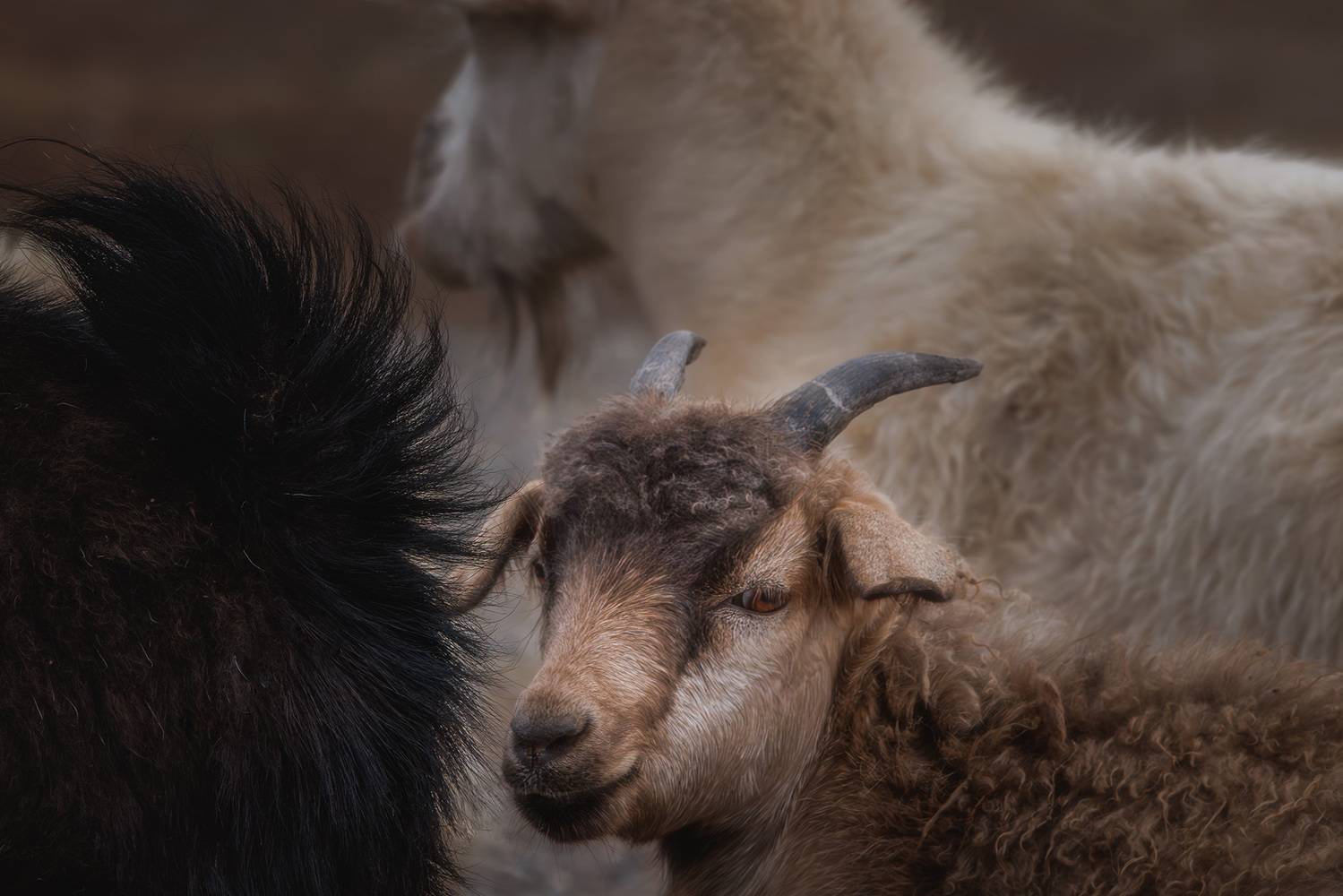 , Морозов Сергей