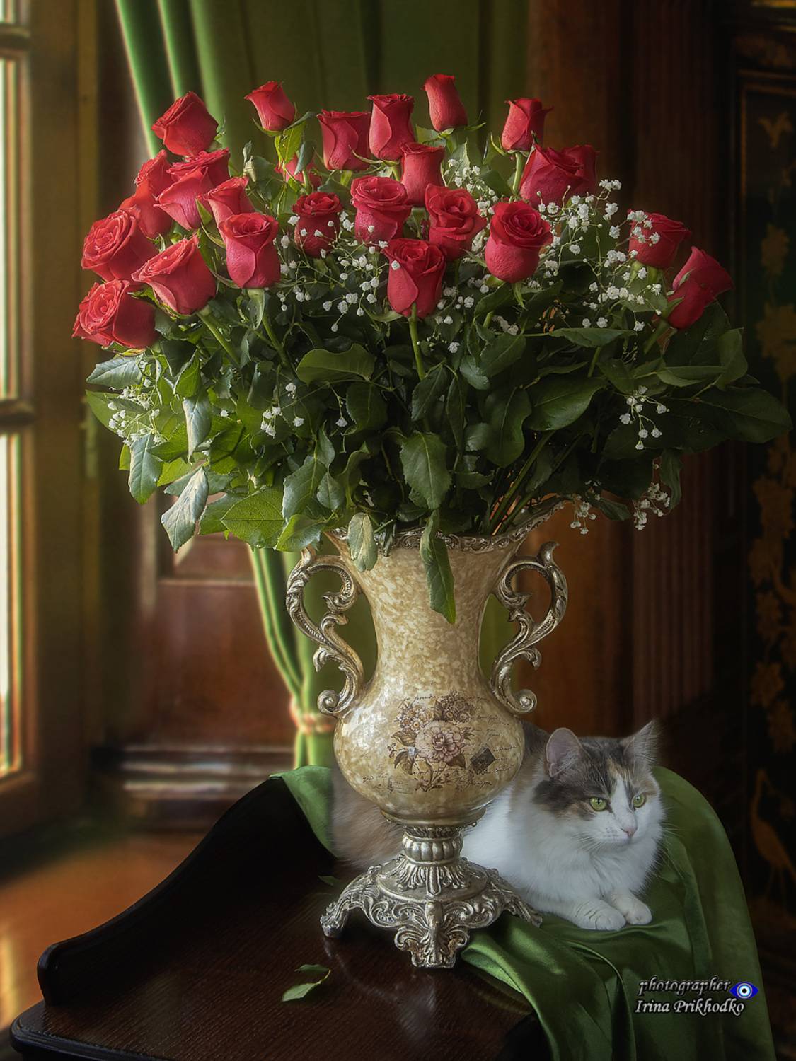 натюрморт, цветы, букеты, животные, кошки, питомцы, Приходько Ирина