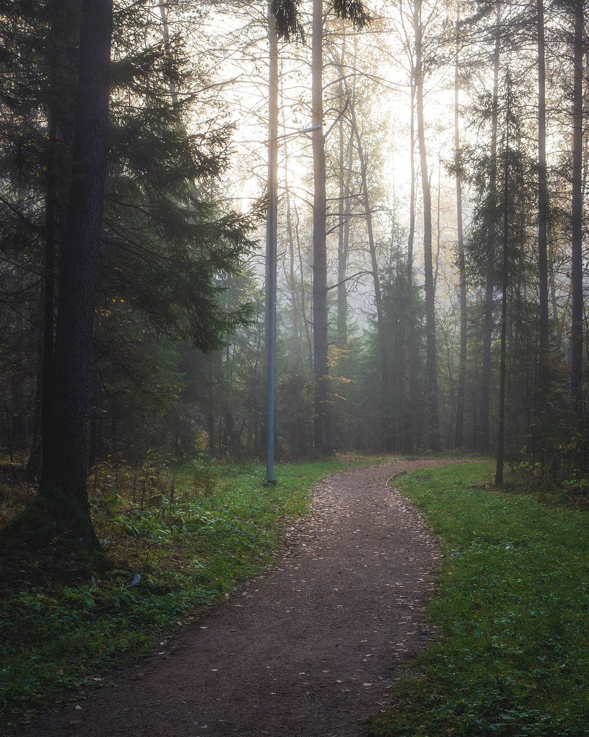 пермский край, пейзаж, рассвет, красота природы, поле, лес, туман, утро, осень, Кузнецов Кирилл