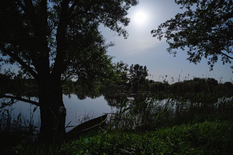 Лунная ночь... фото превью
