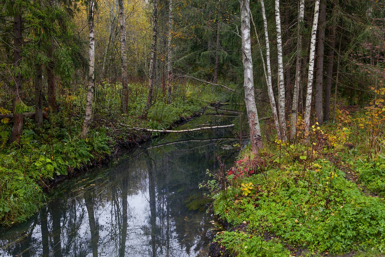 , Aleksandr Mihailov