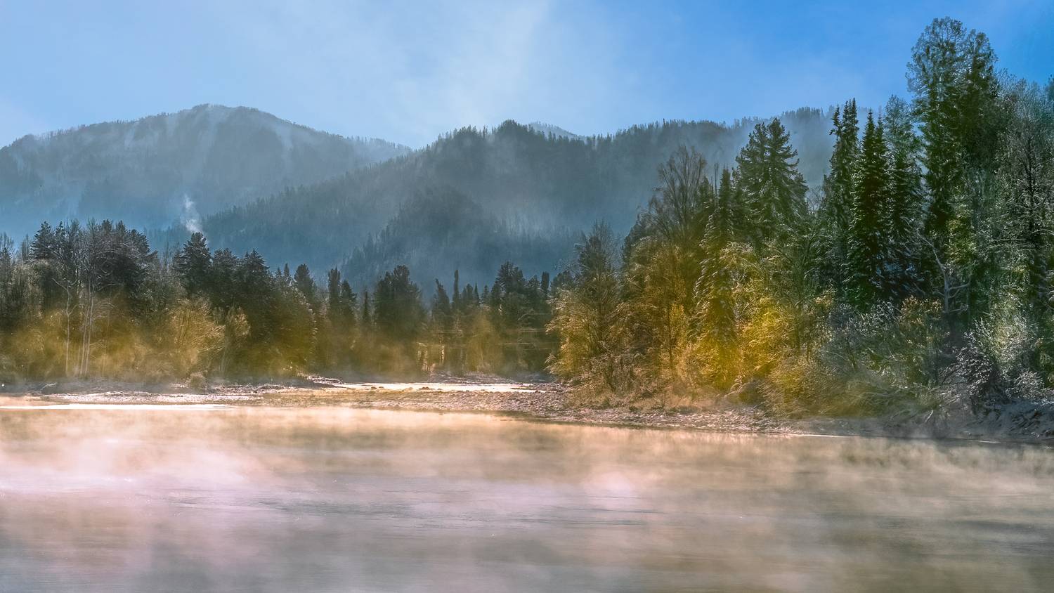 , Шварцман Евгений