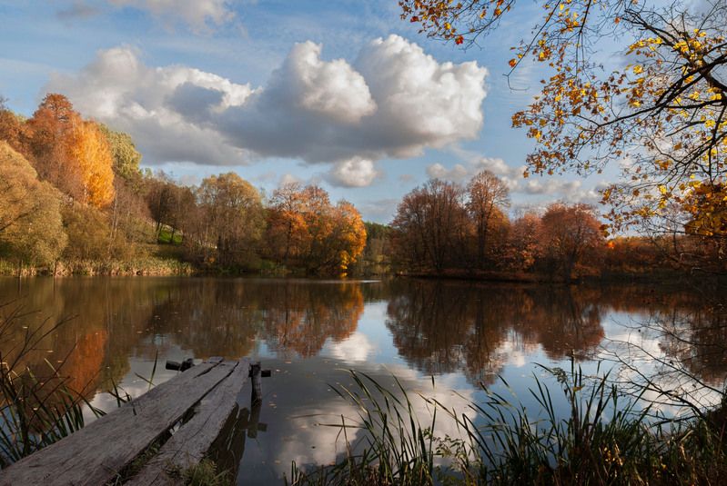 осень фото превью