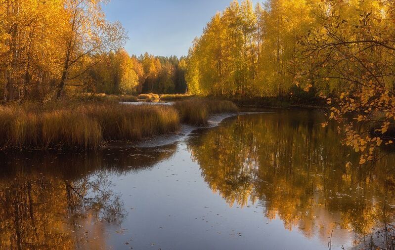 панорама осень сентябрь река вода отражения берег лес заросли ветки кусты кустарник трава тишина, солнечная осень Была в разгаре осень фото превью