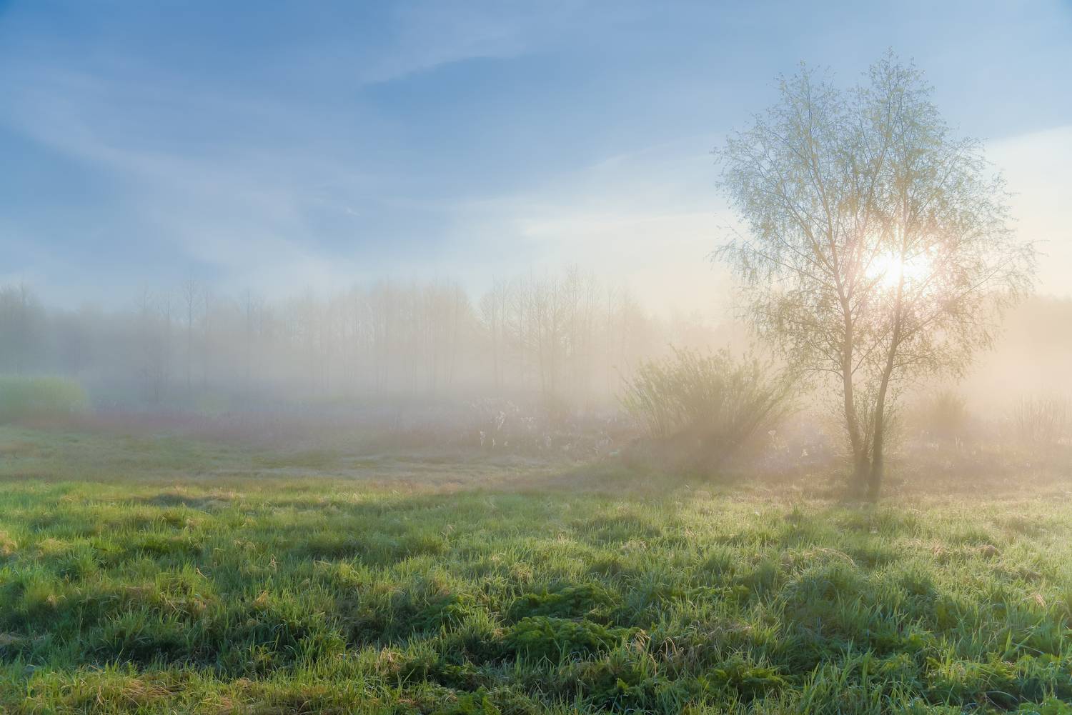 , Руслан Авдевич