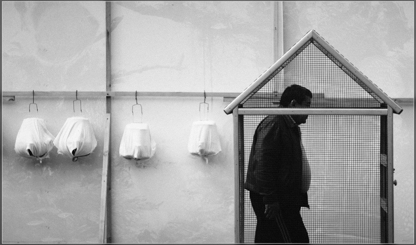 , Ильдар Садыков