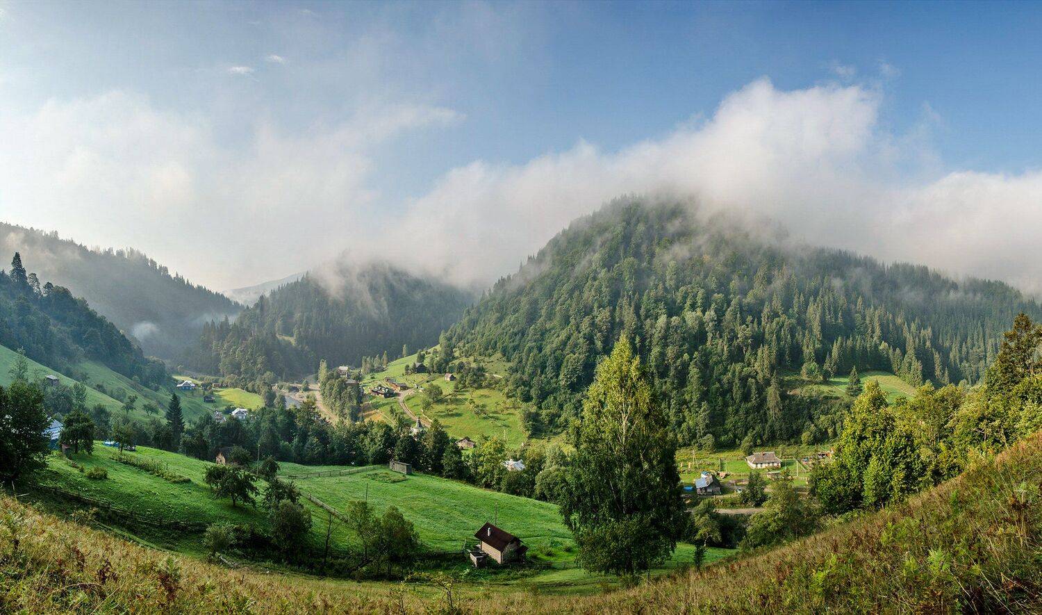 карпаты, утро, туман, черемош, дземброня, Валерий Наумов