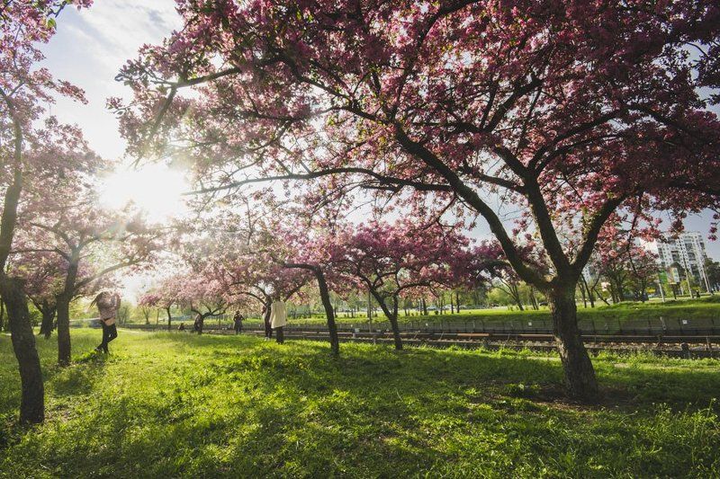 весна, город, природа, пейзаж, репортаж городской пейзаж фото превью