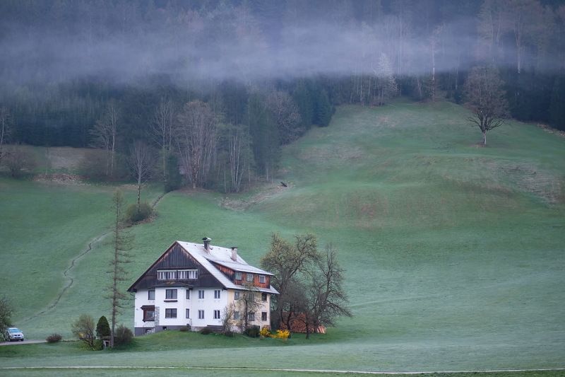 ... осенняя весна ... фото превью