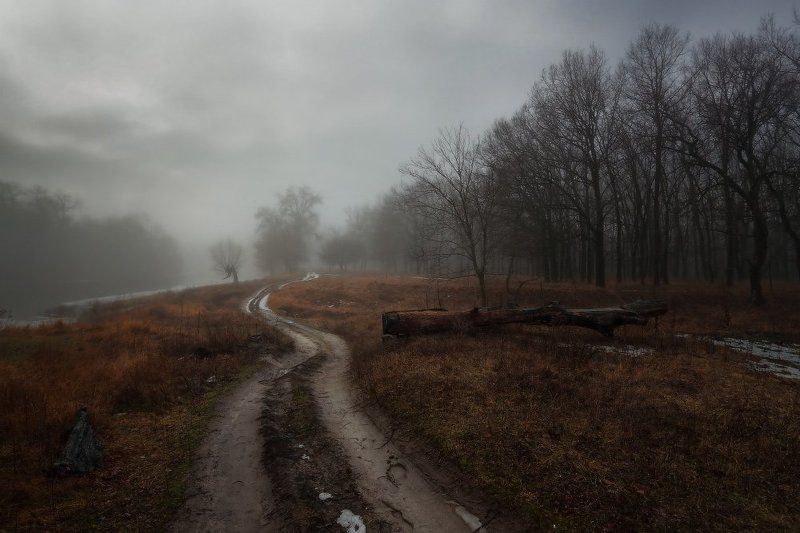 По весенним дорожкам. фото превью