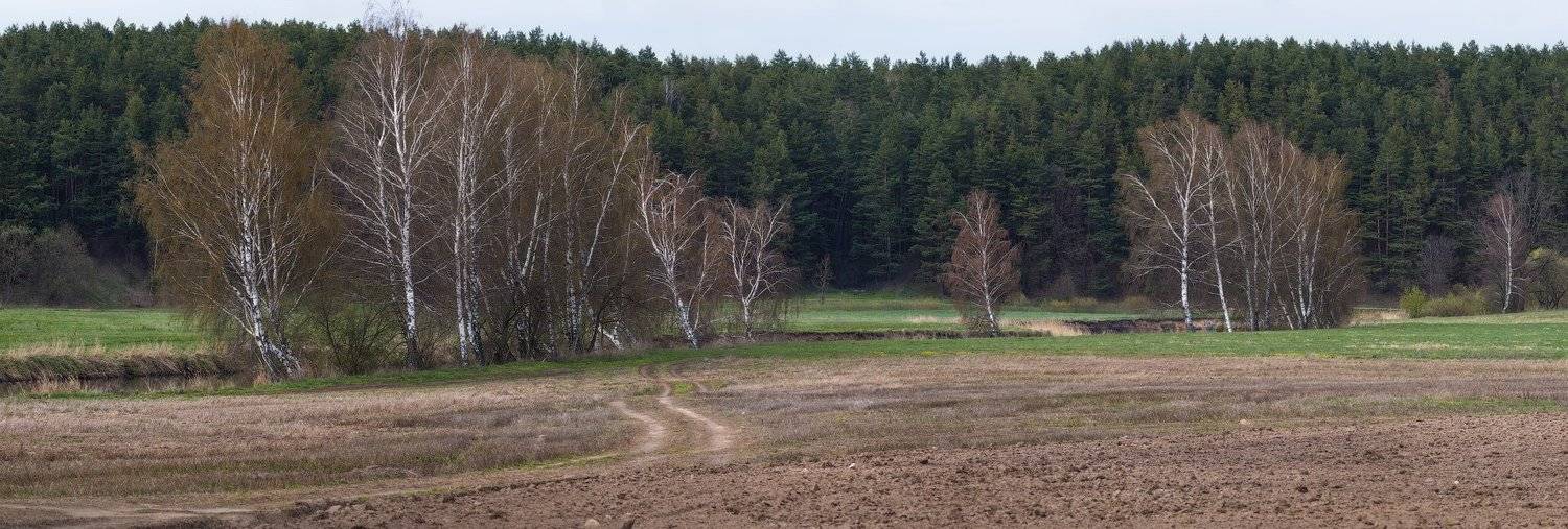 апрель, весна, лес, поле, река, Сергей Шабуневич