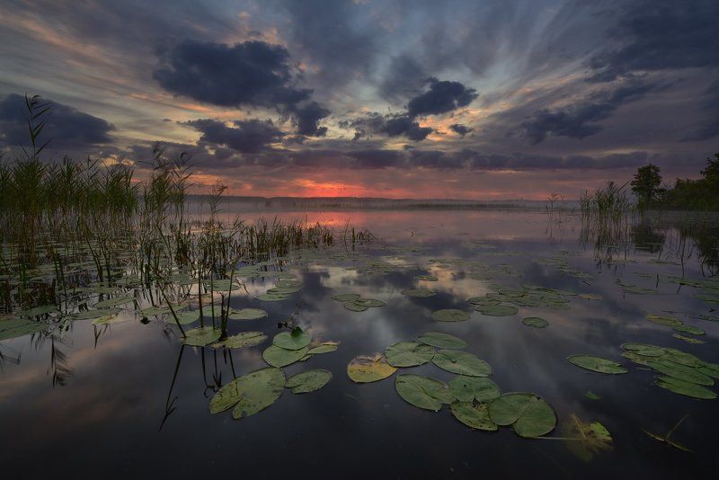 *** фото превью