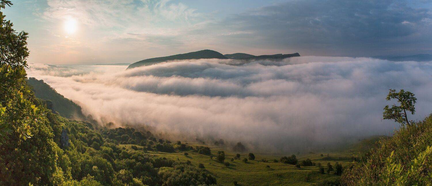, Николай Мысливцев