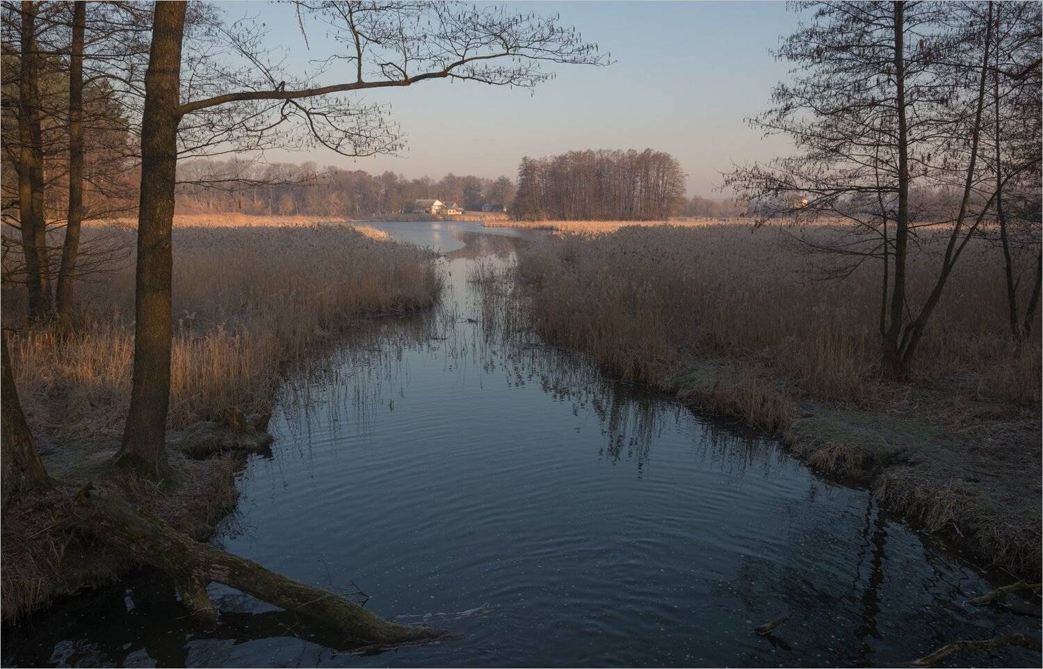 , Николай Шахманцир