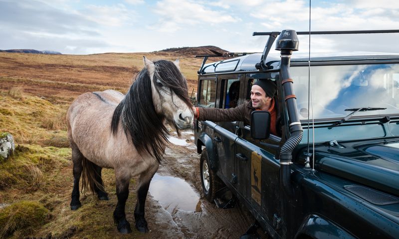Интересная встреча фото превью