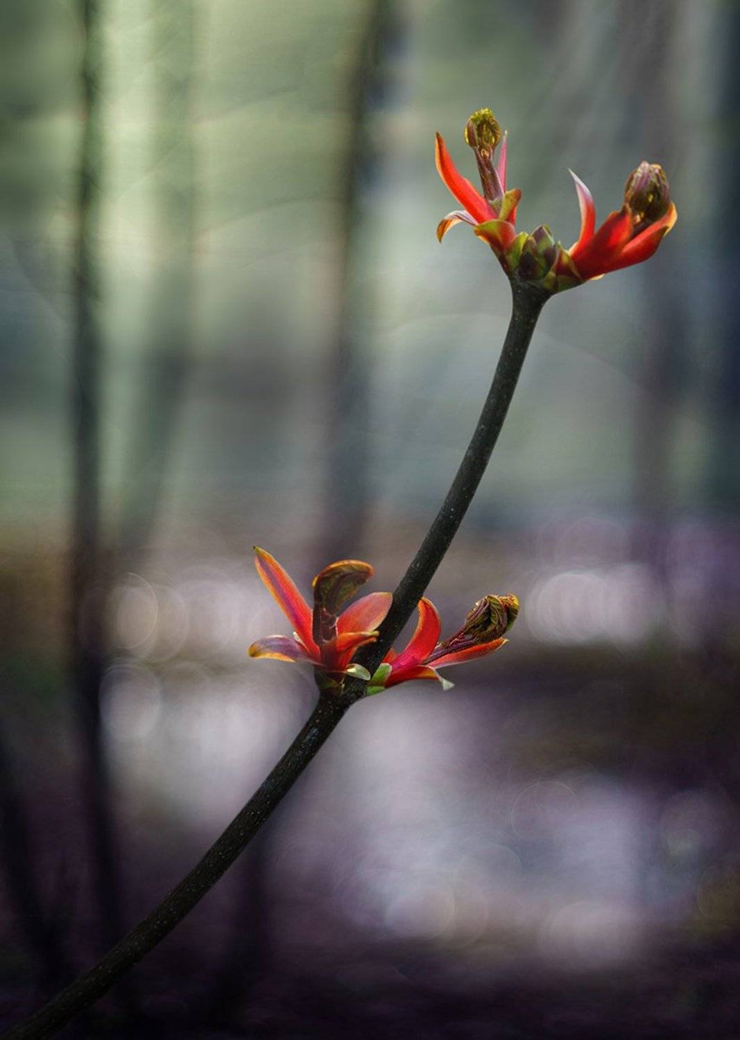 , Сергей Хромов