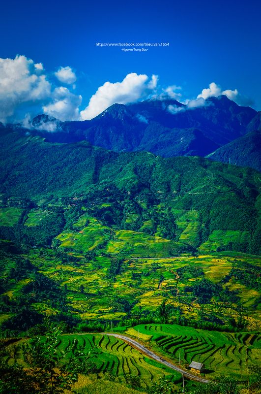Blue, Clouds, Color, D300s, Field, House, Landscape, Mountains, Nature, Nikon, Northwest of Vietnam, Rice, Season, Sky, Small house, South east asia, Summer, Trungducphoto, Vietnam, Waves, Way, Yellow small house in the mountains фото превью