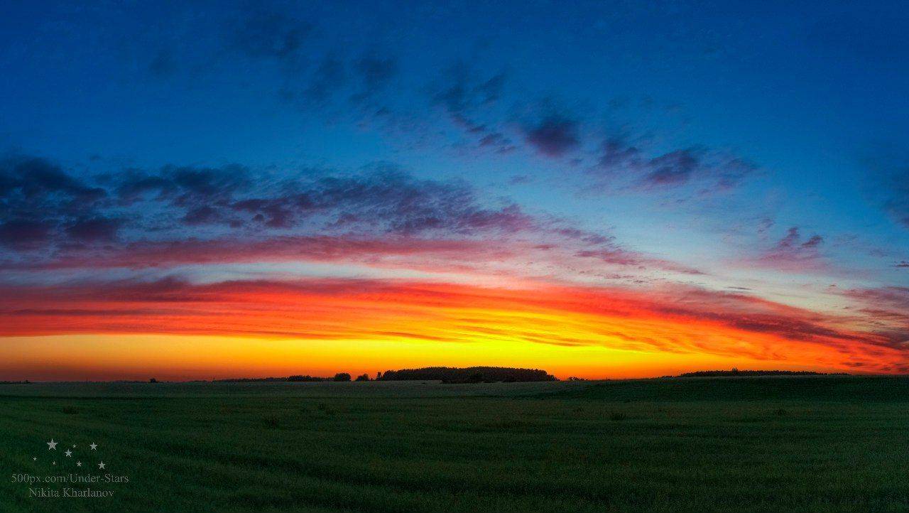 закат, лес, небо, огненное небо, солнце, облака, Харланов Никита