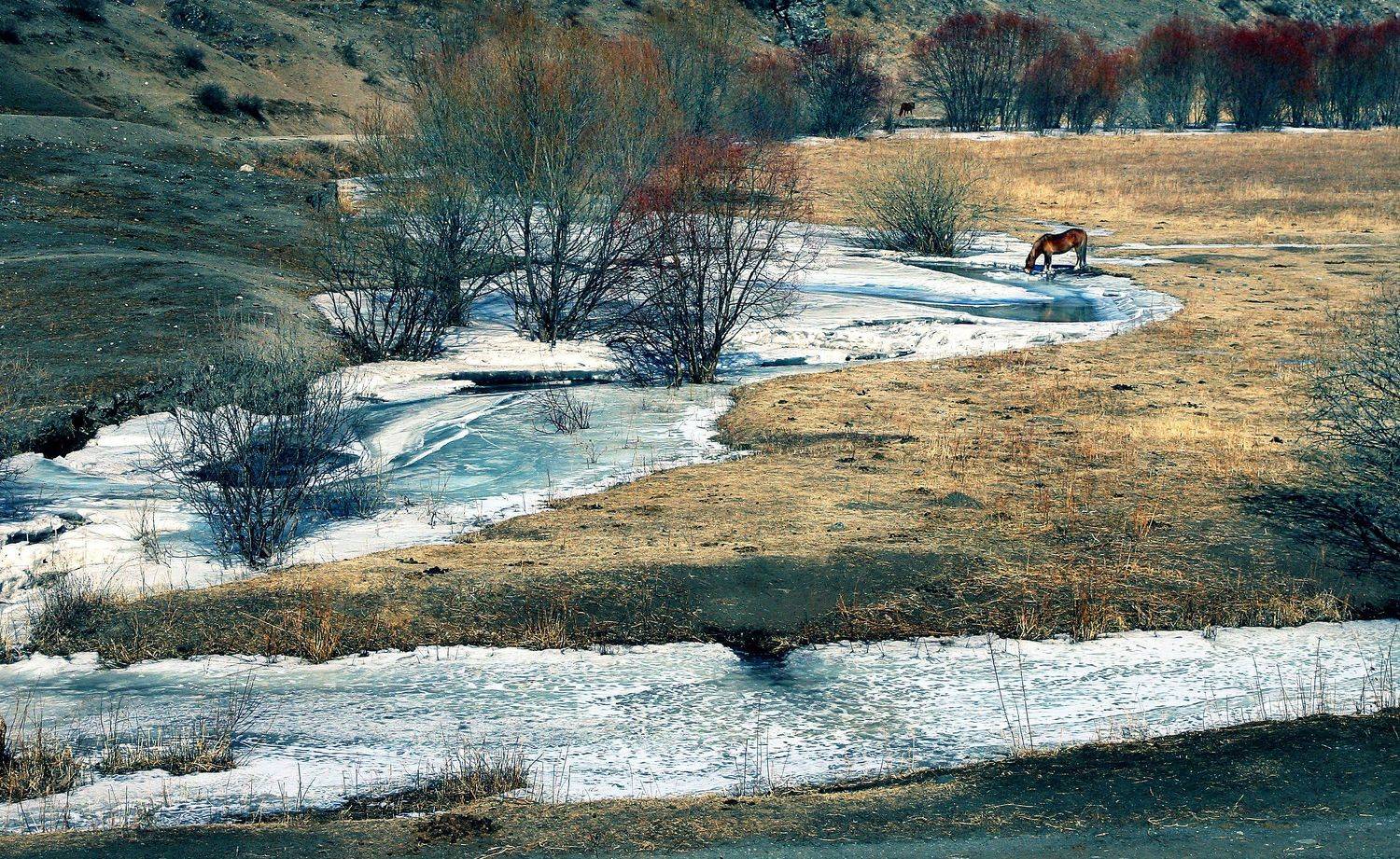 , Рудик Валерий