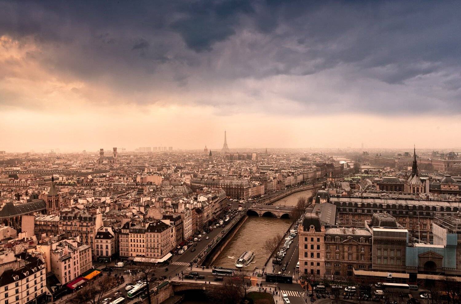 , Никита Сердечный