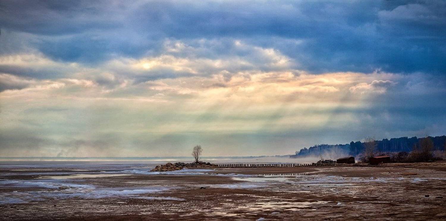 , Андрей Заржецкий