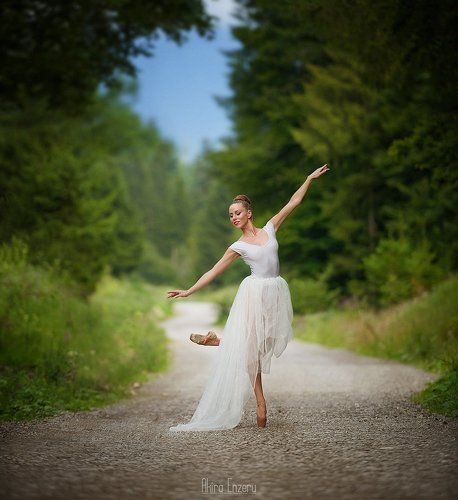 In the Woods