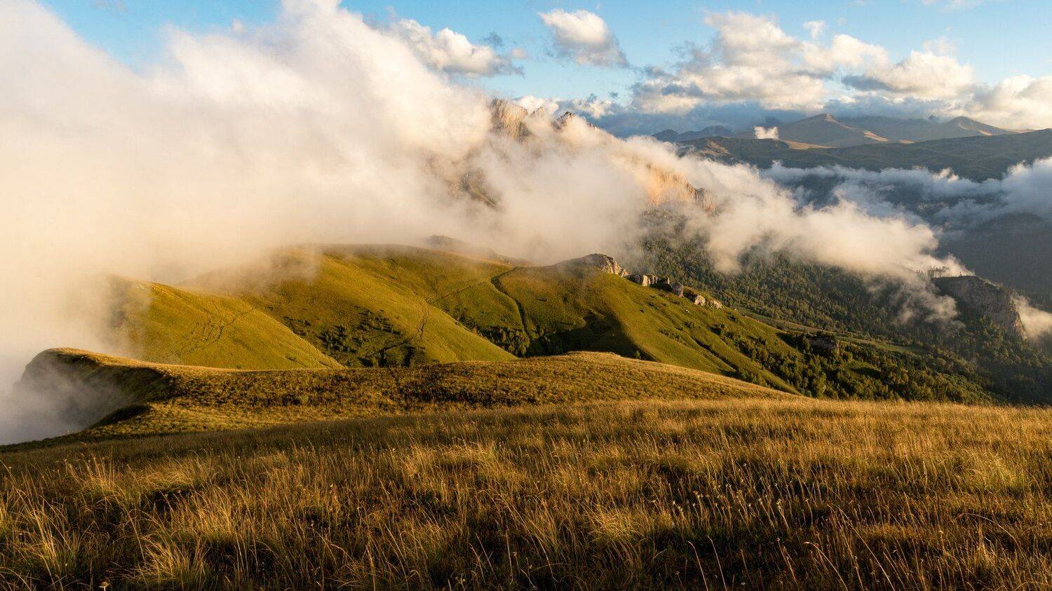 , Alexander Plekhanov