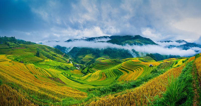 12-24 tokina, Cloud, D300s, Fog, Landscape, Mountains, Mu Cang Chai, Nature, Nikon, Northwest of Vietnam, Rice, Season, Sky, South east asia, Tokina, Trungducphoto, Valley, Viet Nam, Yen Bai Valley season golden фото превью