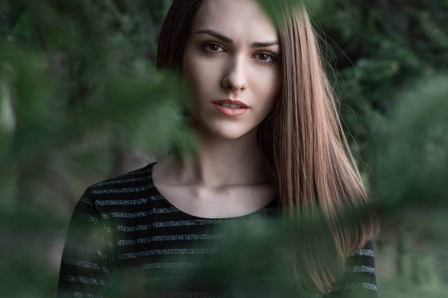 , Александр Емельянов