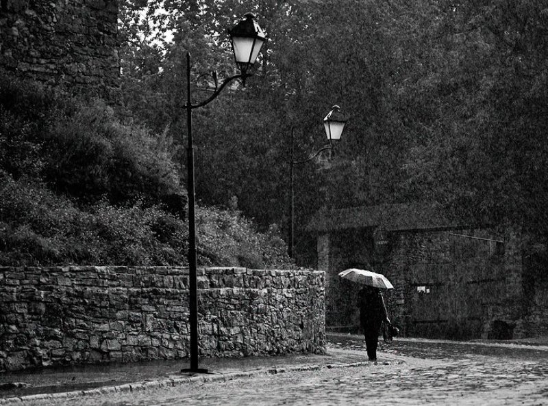 spring rain фото превью